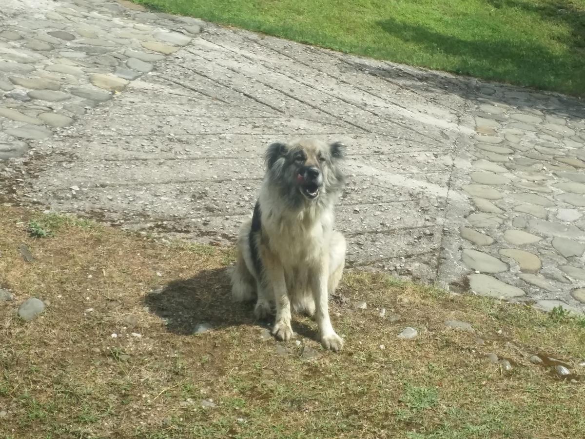 Livadaki Village Megali Kapsi Exterior foto