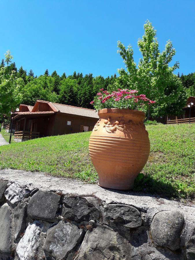Livadaki Village Megali Kapsi Exterior foto