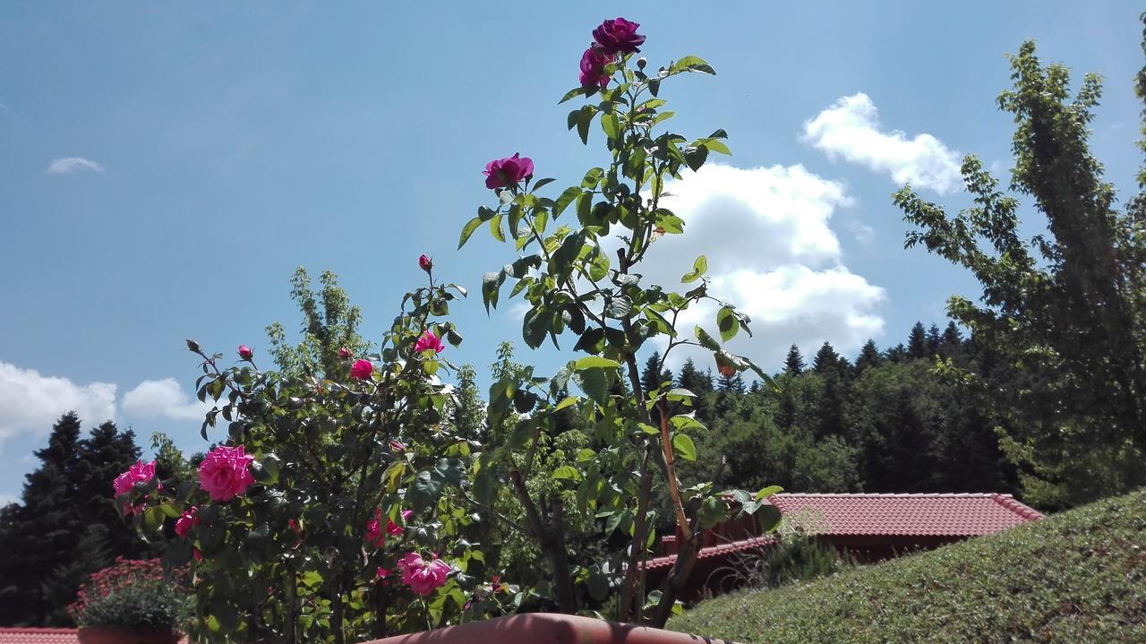 Livadaki Village Megali Kapsi Exterior foto